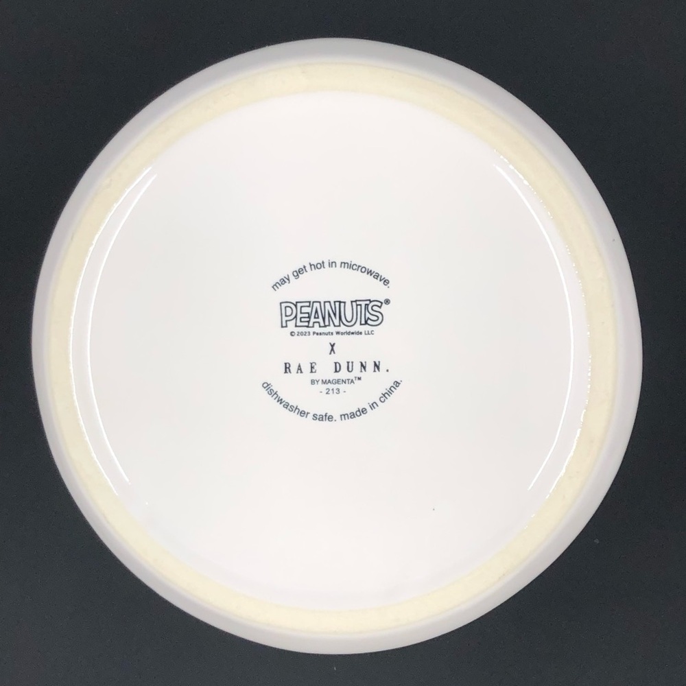 Rae Dunn Peanuts Pet Dog Bowl Halloween Spooktacular Snoopy & Woodstock - Picture 11 of 16